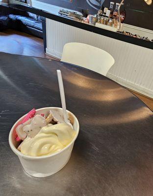 9/11/2024 - Dropping in for some delicious fro yo! This is a vanilla and chocolate swirl with animal cookies!