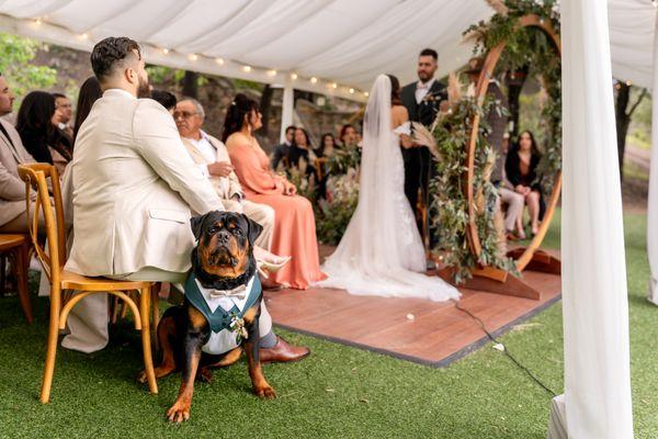 Best man gets front row