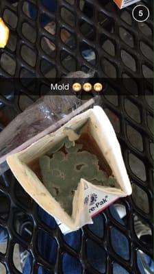 Mold