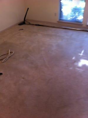 If you have ripples in your carpet. We can help. We are removing ripples by using a power stretching method.