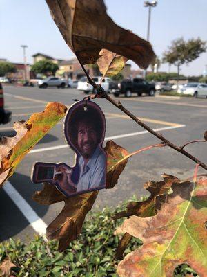 Bob Ross hanging out in the trees...