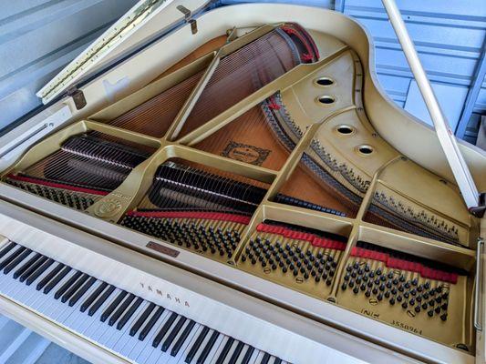 Precise Piano Tuning & Repair