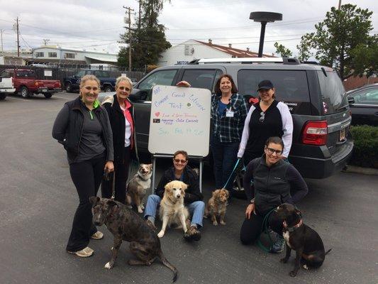 Canine good Citizen certification grads