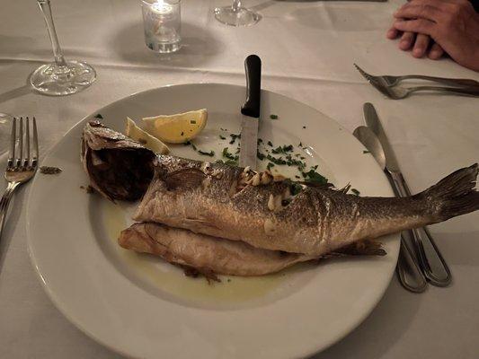 Whole Bronzino, moist tender flavorful and cooked to perfection.