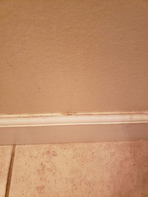 Dirty, unfinished trim in bathroom. "Bella Vista"