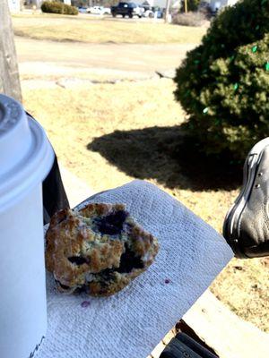 Golden Ripe: (The Softest Blueberry Scone & A Matcha Latte)