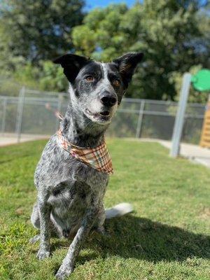 Watson feeling so clean at Stuebner Airline Resort & Spa