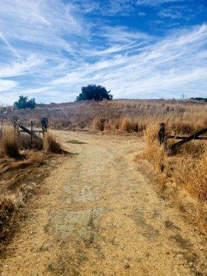 Rush Ranch Nature Center