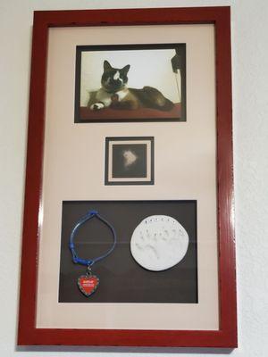 Kitty Memorial Frame