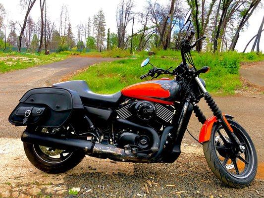 Angie's first Harley!