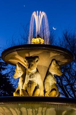 The Fountain At The Circle (Arlington Circle/Marin/Arlington) is particularly magical at twilight.  #Northbrae #Berkeley