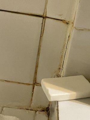 Disgusting mold and grime in the tile shower