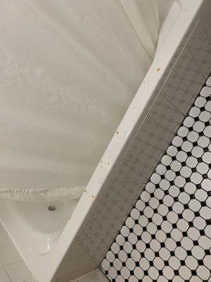 A dirty shower tub