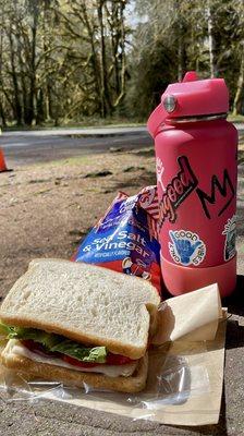 Delicious sandwich with a view.