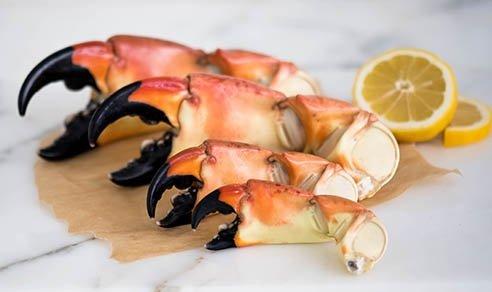 Florida stone crab claws sizes