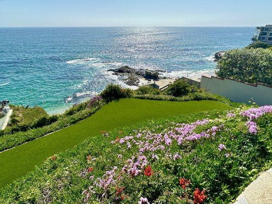 31678 Seacove View in Laguna Beach, CA