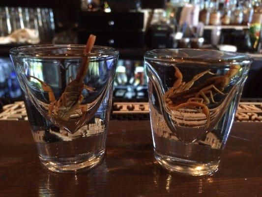 Vodka scorpion shots