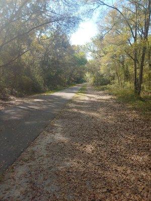 Near Boulware Springs entrance