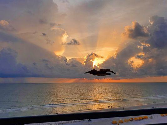 Beautiful St. Pete Beach sunsets!