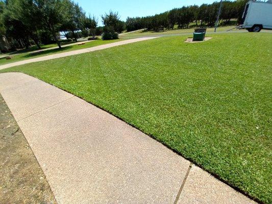 Edging and mow service