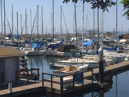 Leeward Bay Marina