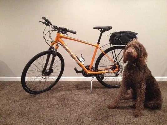 Bright orange Specialized crosstrail for cruising around the city!