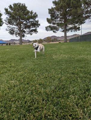 16 years old bouncing, happy, healthy baby!!! Thanks to Wendy!