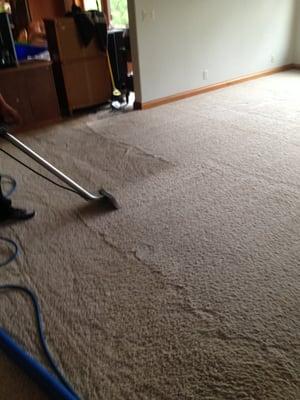 Hasting's Professional Carpet and Upholstery Cleaning System