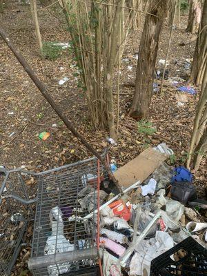 This is on Speedy Stop property. I didn't even have to walk into the woods.  Please be a good neighbor and clean up your mess, Speedy Stop!