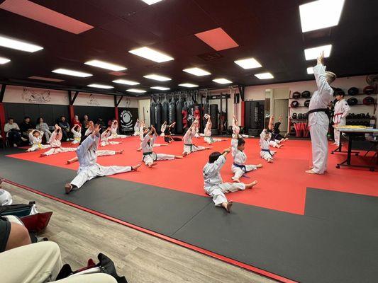 Taekwondo Classes