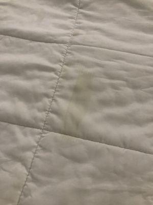 Sex stains on unwashed bedding