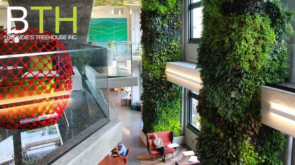 Interior Green Wall: Design, Installation and Horticultural Service