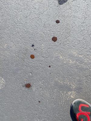 Oil that leaked on driveway