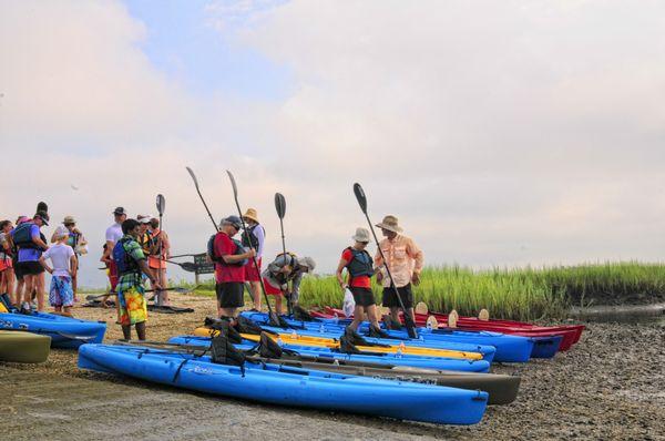 Surf The Earth Family Kayak Tours