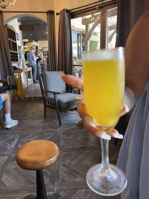 Mimosa