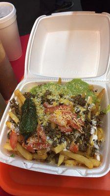 Carne Asada fries are bomb!