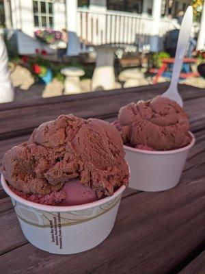 Chocolate peanut butter and chocolate chip raspberry