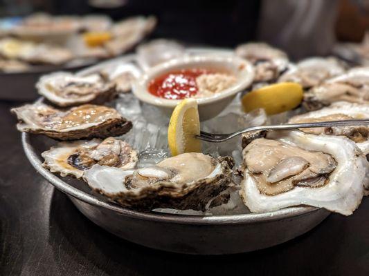 Oysters