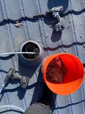 Rooftop Dryer Vent Cleaning-We got you covered!