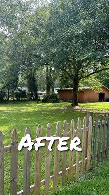 After photo of tree service job by Harvey Home Solutions LLC.