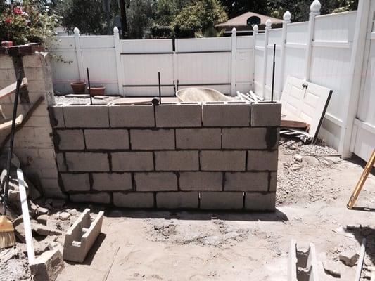 Brick wall I built