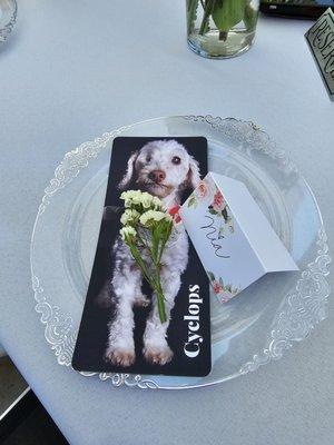 The Place Setting. So fancy! My Dogs Sweet 16 Party