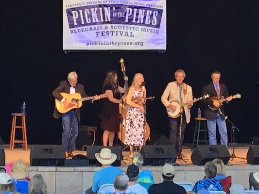 Tall pines in the countryside of Flagstaff.   Bluegrass and Acoustic Music Festival.  Sun, beer, space, music, fresh mountain air.