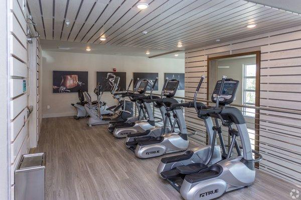 Our cardio machines on the second level of our two story 24 hour gym.