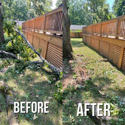 Tree Limb Removal