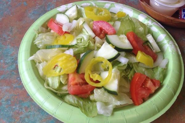 Nice, large salad