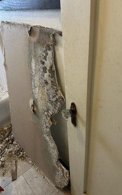 Why you use a professional remediation instead of your handyman. Protect yourself from mold contamination