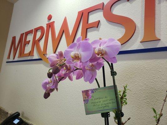 Meriwest Credit Union always here to take care of your financial needs and beyond.