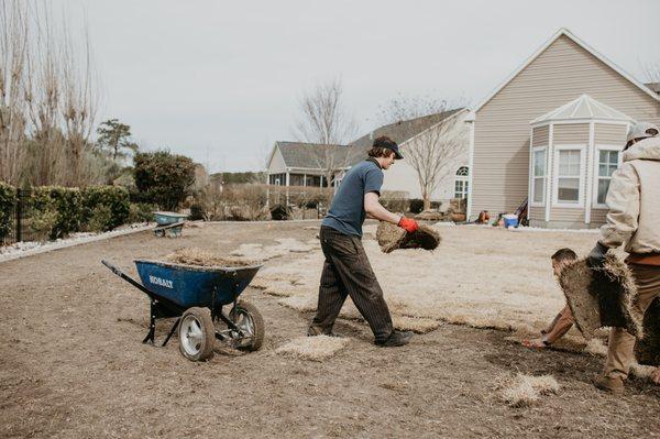 Buddy's Landscaping Services