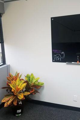 SEO Company OC Office Interior plants